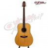 Clevan D25S Acoustic Guitar