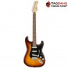 กีต้าร์ไฟฟ้า Fender Player Stratocaster Plus Top สี Tobacco Sunburst