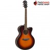 กีต้าร์โปร่งไฟฟ้า Yamaha CPX600 สี Old Violin Sunburst