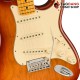 กีต้าร์ไฟฟ้า Fender American Professional II Stratocaster MN สี Sienna Sunburst