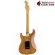 กีต้าร์ไฟฟ้า Fender American Professional II Stratocaster RW สี Roasted Pine