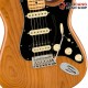 กีต้าร์ไฟฟ้า Fender American Professional II Stratocaster HSS MN สี Roasted Pine
