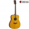 กีต้าร์โปร่งไฟฟ้า Yamaha FG-TA สี Vintage Tint