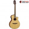กีต้าร์คลาสสิคไฟฟ้า Yamaha NTX1 สี Natural