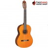 กีต้าร์คลาสสิคไฟฟ้า Yamaha CGX102