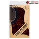 Pickguard Timbud Sharp Turtoise