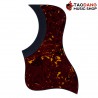 Pickguard Timbud Sharp Turtoise