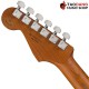 กีต้าร์ไฟฟ้า Fender Limited Edition Player Stratocaster Texas Special สี 3Color Sunburst 