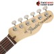 กีต้าร์ไฟฟ้า Fender American Performer Telecaster Hum สี Satin Surf Green