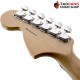 กีต้าร์ไฟฟ้า Fender Yngwie Malmsteen Stratocaster สี Scalloped Rosewood