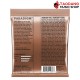 สายกีต้าร์โปร่ง Ernie Ball Paradigm Medium Light Phosphor Bronze .012-.054