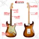 กีต้าร์ไฟฟ้า Squier FSR Affinity Stratocaster SSS สี Honey Burst