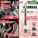 กีต้าร์ไฟฟ้า Yamaha Pacifica Standard Plus PACS+12 สี Ash Pink