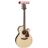 กีต้าร์โปร่งไฟฟ้า Takamine GN93C