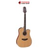 กีต้าร์โปร่งไฟฟ้า Takamine GD20CE