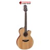 กีต้าร์โปร่งไฟฟ้า Takamine GN20CE