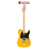 กีต้าร์ไฟฟ้า Fender Standard Telecaster สี Butterscotch Blonde