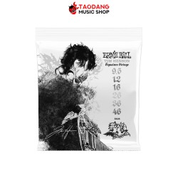 สายกีต้าร์ไฟฟ้า Ernie Ball Tim Henson Signature เบอร์ 9.5-46