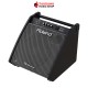 Roland PM-200 Black Drum Amplifier