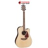 กีต้าร์โปร่งไฟฟ้า Takamine GD93CE