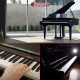 Yamaha CSP295GP Polished Ebony Electric Piano