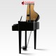 Kawai DG30 Black Electric Piano