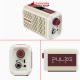 Hotone Pulze Mini White Modeling Amplifier