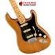 กีต้าร์ไฟฟ้า Fender American Professional II Stratocaster HSS