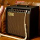 Hibilly Retro 20 Guitar Amplifier