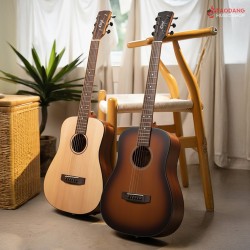 Cort Earth GO Electric Acoustic Guitar