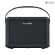 Roland CUBE Street MINI Multi-Instrument Battery Amplifier