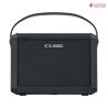 Roland CUBE Street MINI Multi-Instrument Battery Amplifier