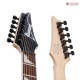 กีต้าร์ไฟฟ้า Ibanez RG421DX