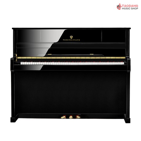 Terence M100 Upright Electric Piano