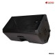 River Acoustic Pro15 Public Address Speaker