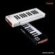 Arturia MicroLab MK3 Midi Keyboard