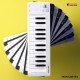Arturia MicroLab MK3 Midi Keyboard