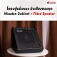 แอมป์กลองไฟฟ้า Cool Music DM Series
