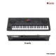 คีย์บอร์ดไฟฟ้า Yamaha PSR-SX620 สี Black