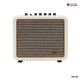 แอมป์กีต้าร์ไฟฟ้า AGA Classic  Series