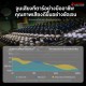 แอมป์กีต้าร์ไฟฟ้า AGA Classic  Series
