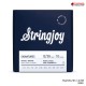 สายกีตาร์เพดัลสตีล Stringjoy Pedal Steel Strings Series