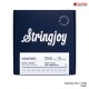 สายกีตาร์เพดัลสตีล Stringjoy Pedal Steel Strings Series