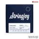 สายกีต้าร์ไฟฟ้า Stringjoy Signatures Series