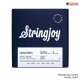สายกีต้าร์ไฟฟ้า Stringjoy Signatures Series