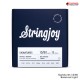 สายกีต้าร์ไฟฟ้า Stringjoy Signatures Series