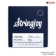 สายกีต้าร์ไฟฟ้า Stringjoy Signatures Series