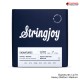 สายกีต้าร์ไฟฟ้า Stringjoy Signatures Series