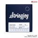 สายกีต้าร์ไฟฟ้า Stringjoy Signatures Series