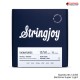 สายกีต้าร์ไฟฟ้า Stringjoy Signatures Series